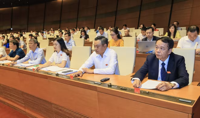 Đại biểu Quốc hội bấm nút thông qua luật.