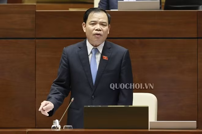 Bộ trưởng Nguyễn Xuân Cường trả lời chất vấn Quốc hội sáng 6-11. Ảnh: quochoi.vn