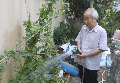 Hàng xóm gọi ông là “ông tiên rau”. Hàng xóm gọi ông là “ông tiên rau”.