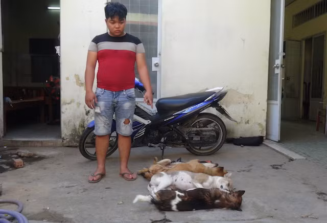 Linh cùng tang vật. Linh cùng tang vật.