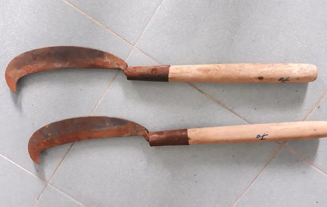 Tang vật.