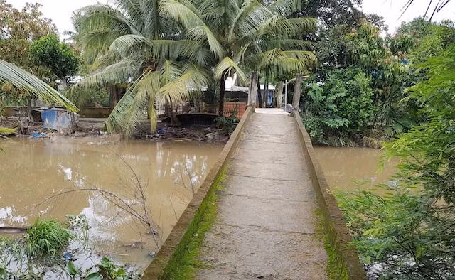 Vùng quê tang thương vì xảy ra án mạng đau lòng. Vùng quê tang thương vì xảy ra án mạng đau lòng.