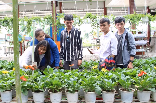 Khách tham quan, chụp ảnh tại làng hoa Sa Đéc.