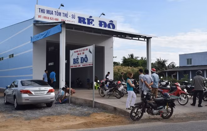 Vựa tôm nơi xảy ra vụ trộm.