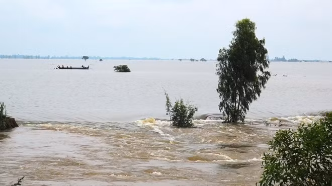 Ông Lê Văn Hùng, Phó Chủ tịch UBND xã Thường Thới Hậu B huyện Hồng Ngự, cho biết: “Để ứng phó với tình hình lũ lớn, hiện nay, địa phương đã có công tác chuẩn bị, củng cố các chốt cứu hộ cứu nạn trên các điểm xung yếu. Riêng cơ sở hạ tầng phục vụ dân sinh cũng có sự chuẩn bị ngay từ đầu năm. Khi có lũ lớn đột biến xảy ra sẽ có phương án di dời người dân đến nơi an toàn”.