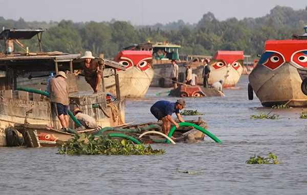 Cát “tặc” liên kết thành những nhóm lớn trên sông để dễ bề đối phó với lực lượng kiểm tra.