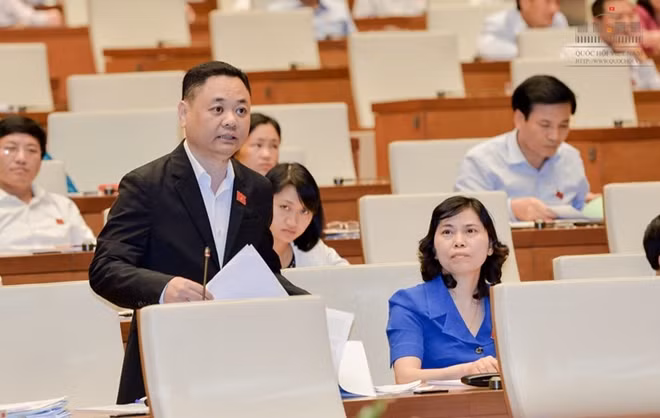 Đại biểu Nguyễn Ngọc Bảo