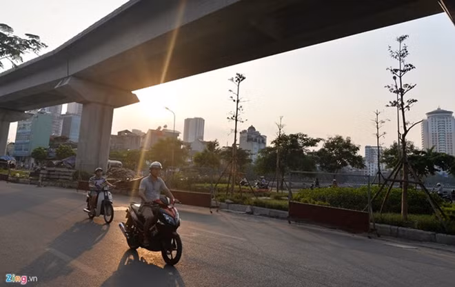 Xung quanh được giằng bởi 4 cọc gỗ, tránh đổ và bật gốc nếu gặp mưa bão.