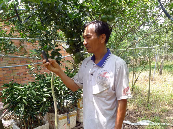 Chỉ cần một chiếc điện thoại “cùi bắp”, ông Thạnh có thể điều khiển được hệ thống tưới cây dù ở bất cứ nơi đâu.