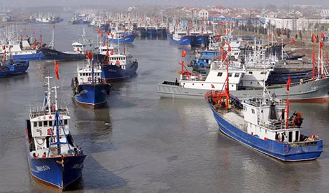Đội tàu cá của Trung Quốc.