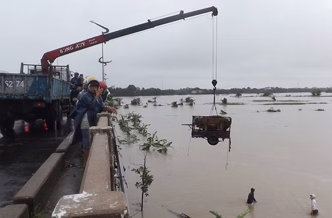 Dùng xe cẩu để cứu bò trôi dạt trên sông Ba ở Phú Yên.