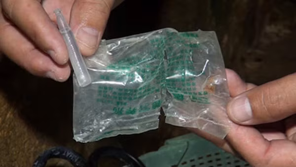 Một trong số những ống thuốc kích thích tăng trưởng giá đỗ, có ghi chữ Trung Quốc bị lực lượng Công an phát hiện trong thời gian gần đây.