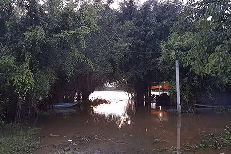 Một góc bến phà Giồng Nổi.