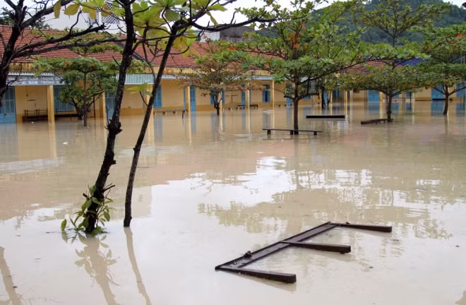 Nhiều trường học trên địa bàn Nha Trang cũng chìm trong nước. Ngành giáo dục buộc phải thông báo cho học sinh các cấp nghỉ học đảm bảo an toàn. Nhiều trường học trên địa bàn Nha Trang cũng chìm trong nước. Ngành giáo dục buộc phải thông báo cho học sinh các cấp nghỉ học đảm bảo an toàn.