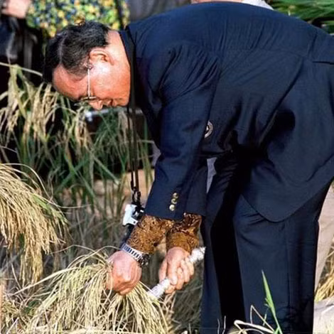 Ủng hộ mạnh mẽ ngành nông nghiệp Thái Lan, nhà vua không ít lần thân chinh xuống ruộng.