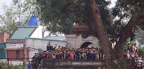 ... hoặc bất cứ điểm cao nào quanh sân để được theo dõi trận đấu.