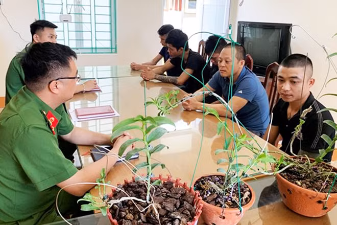 Công an Hòa Bình vừa phá chuyên án bắt 5 đối tượng về hành vi lừa đảo chiếm đoạt tài sản thông qua mua bán giao dịch hoa phong lan.