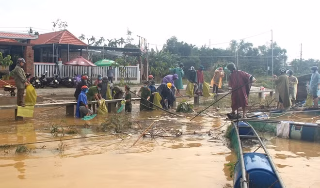 Trong sáng 9-11, hàng chục CBCS Công an huyện Quảng Điền được huy động giúp dân vớt cá chết trên sông Bồ.