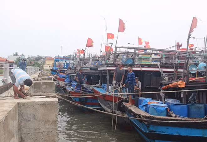 Ngư dân xã Phú Hải, huyện Phú Vang tổ chức neo đậu tàu thuyền vào sáng 14-9.