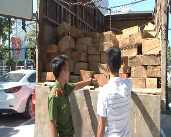 Cảnh sát môi trường Công an tỉnh Thừa Thiên- Huế kiểm tra số gỗ lậu.