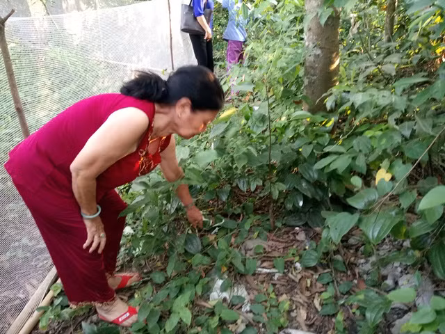 Khu vực bà Gái phát hiện đứa trẻ sơ sinh bị bỏ rơi.