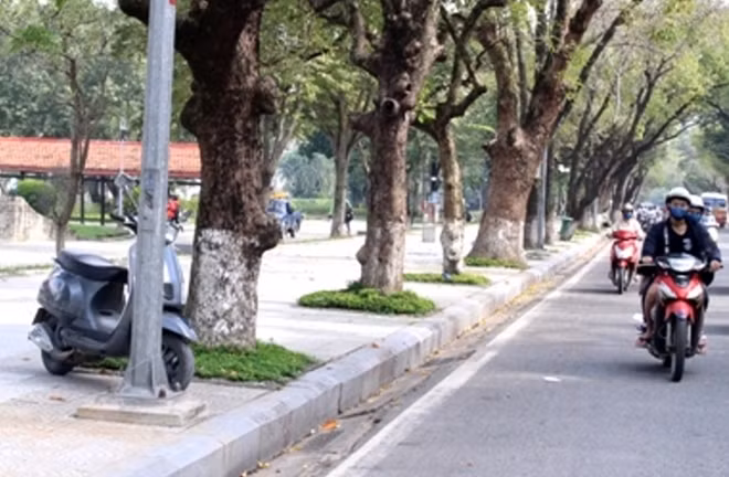Địa điểm anh H. lao xe máy vào lề đường Lê Lợi, TP Huế khiến anh H. và chị V. tử vong.
