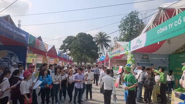 Ngày hội việc làm do trường ĐH Nông lâm Huế tổ chức thu hút đông đảo sinh viên tham gia.