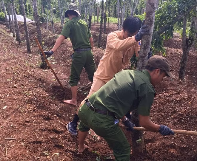 Công an Vĩnh Linh (Quảng Trị) giúp dân lợp lại mái nhà, quét dọn trường học và dựng lại trụ tiêu ngã đổ.