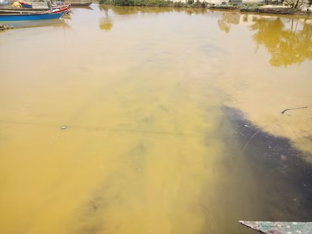 Nước biển ở xã Lộc Vĩnh có màu vàng lạ là do tảo giáp phát triển.