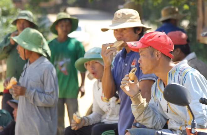 Người dân chỉ kịp ăn vội bánh mì để chạy đua với nước cứu cánh đồng lúa