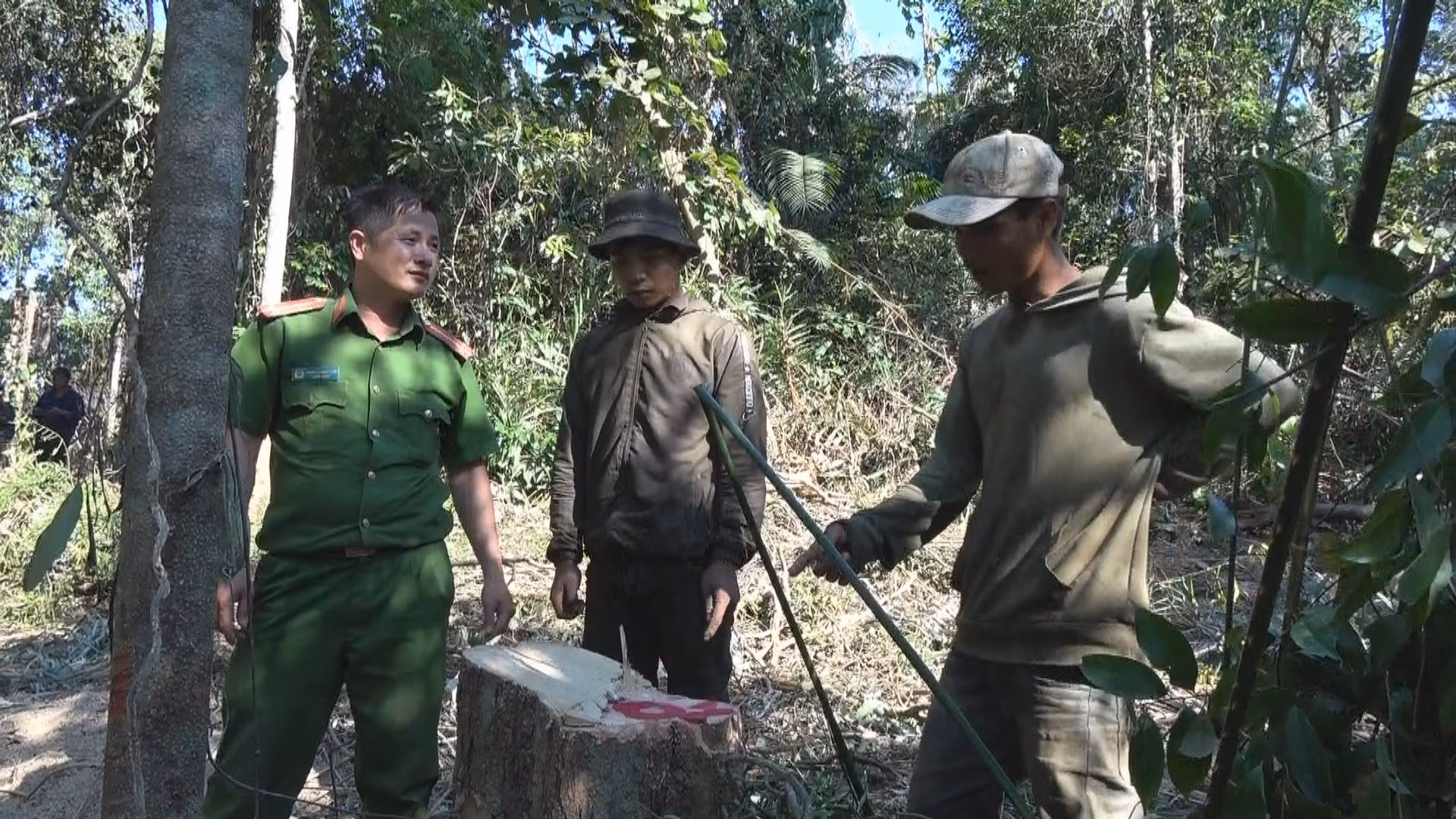 Phát hiện thêm một vụ phá rừng tại huyện Ea Kar