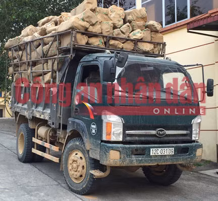 Chiếc xe gỗ trắc lậu do Hoàng Văn Lý bị tổ công tác kịp thời bắt quả tang trên đường lên cửa khẩu Hữu Nghị xuất sang Trung Quốc