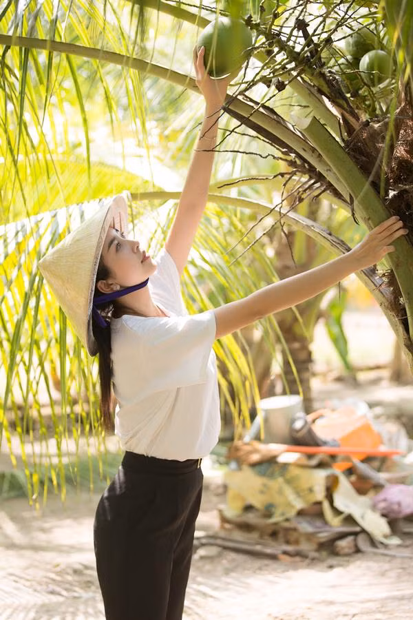 Á hậu hái dừa cho hai bà cháu. Á hậu hái dừa cho hai bà cháu.