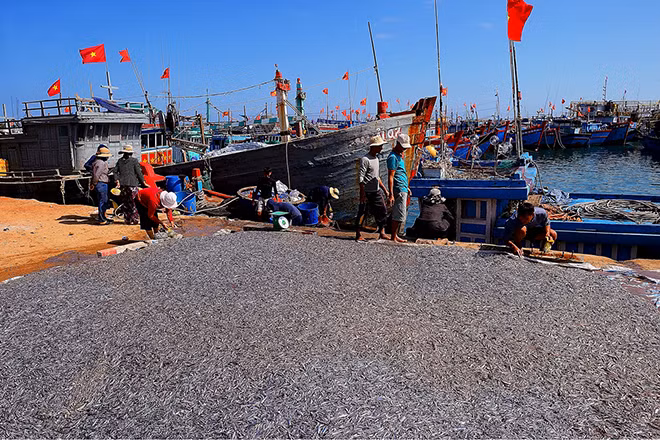 Bức "Ngư dân được mùa cá cơm".