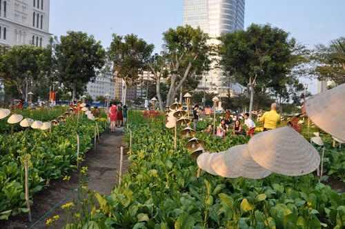 Việc thiết kế ruộng lúa, cánh đồng rau xanh khiến đường hoa Phú Mỹ Hưng trở thành điểm du xuân hấp dẫn.
