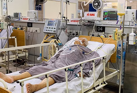 Một bệnh nhân vẫn phải thở máy tại Trung tâm chống độc Bệnh viện Bạch Mai sau khi sử dụng thuốc giải độc. Một bệnh nhân vẫn phải thở máy tại Trung tâm chống độc Bệnh viện Bạch Mai sau khi sử dụng thuốc giải độc.