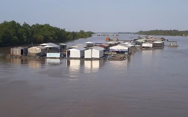 Nước mặt từ các sông, kênh, rạch là nguồn tài nguyên có ý nghĩa đặc biệt quan trọng đối với đời sống và sản xuất của người dân Bến Tre.