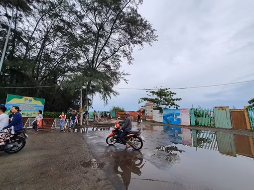 Tác động của Dự án lấn biển Cần Giờ đến khu dự trữ sinh quyển rừng ngập mặn