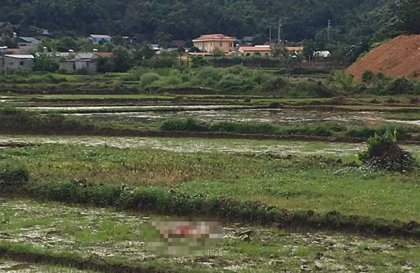 Hiện trường vụ án mạng.