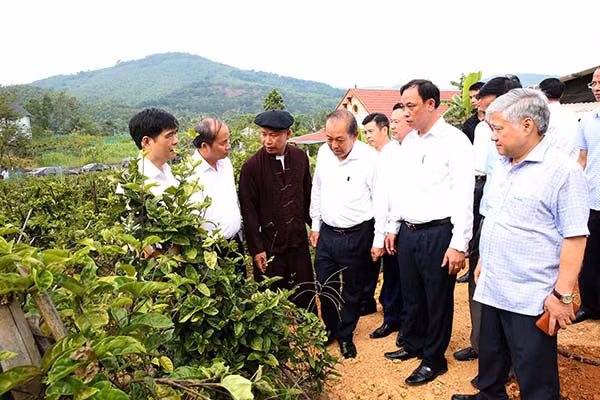 Phó Thủ tướng Trương Hòa Bình thăm mô hình trông cây dược liệu của gia đình bà Lý Thị Man. Phó Thủ tướng Trương Hòa Bình thăm mô hình trông cây dược liệu của gia đình bà Lý Thị Man.