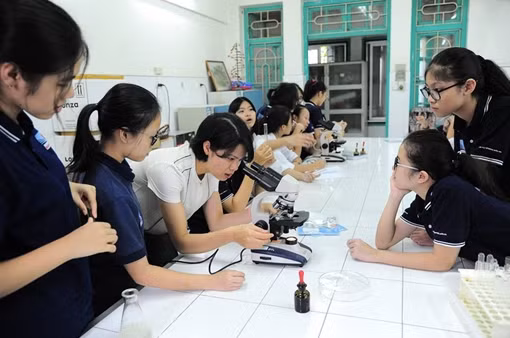 Đánh giá, tổng kết để xác định hướng đi cho hệ thống trường chuyên