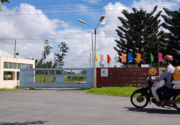 Công ty CP Mía đường Sóc Trăng thua kiện người lao động.