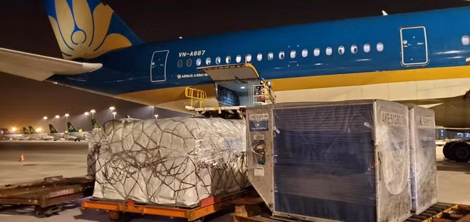 Chuyến bay mang số hiệu VN9523 của Vietnam Airlines từ TP Hồ Chí Minh đến Thượng Hải hạ cánh tại Sân bay quốc tế Phố Đông, Thượng Hải, Trung Quốc. Vietnam Airlines dự kiến khai thác ba chuyến bay mỗi tuần giữa TP Hồ Chí Minh và Thượng Hải từ ngày 15/3 đến ngày 30/4/2020.