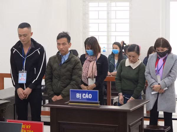 Các bị cáo tại phiên xử.