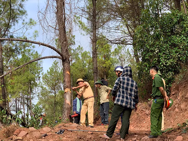 Các lực lượng đang chặt cây, làm đường băng cản lửa.
