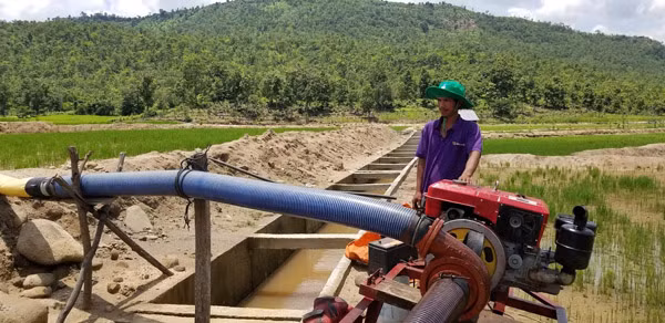 Anh Đinh H’Nơi phải dùng máy bơm để bơm nước vào ruộng cứu lúa. Anh Đinh H’Nơi phải dùng máy bơm để bơm nước vào ruộng cứu lúa.