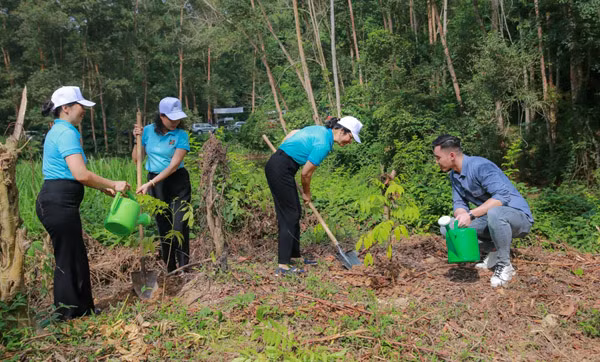 Các đồng chí lãnh đạo Agribank tham gia trồng cây tại Khu di tích quốc gia xã Kim Quan, huyện Yên Sơn, tỉnh Tuyên Quang.