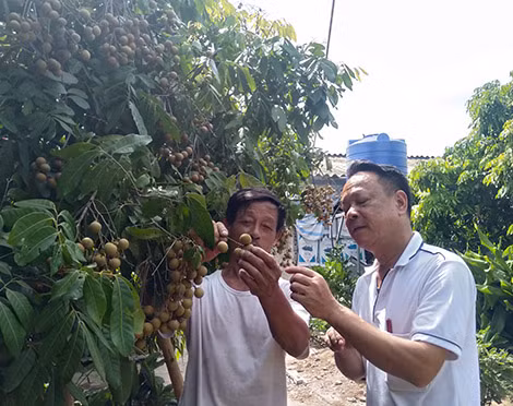 Tác giả phỏng vấn ông Lê Đình Thắng.