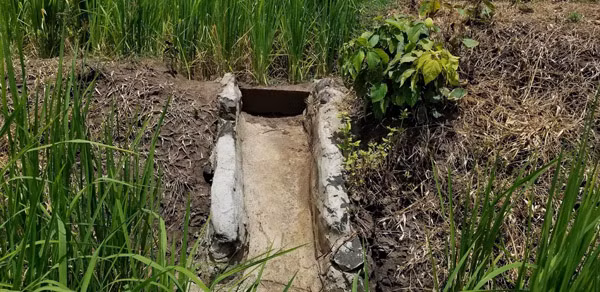 Vị trí dẫn nước vào ruộng đã khô khốc từ lâu. Vị trí dẫn nước vào ruộng đã khô khốc từ lâu.