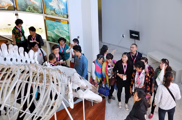 Bảo tàng Quảng Ninh là một trong những điểm dủ lịch được miễn, giảm phí tham quan.